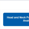 Head and Neck Pathology Through Anatomy 2024