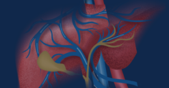 Michigan Medicine 27th Annual Liver Disease Wrap-Up 2024