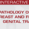 USCAP Pathology of the Breast and Female Genital Tract 2025
