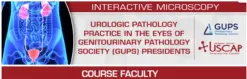 USCAP Urologic Pathology Practice in the Eyes of Genitourinary Pathology Society (GUPS) Presidents 2025