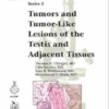 Tumors and Tumor-Like Lesions of the Testis and Adjacent Tissues (AFIP Atlas of Tumor and Non-Tumor Pathology, Series 5 Vol. 12) (Original PDF from Publisher)