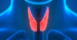 Harvard Clinical Endocrinology 2022