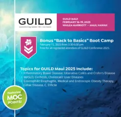 GUILD Maui 2025 (Videos with subtitles + Slides)