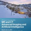 25th Annual Snowmass 2025: MR and CT Advanced Imaging and Artificial Intelligence (Videos with subtitles + Syllabus)
