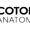 Cotofana Anatomy Online Anatomy Courses (Professor Cotofana Anatomy Review)