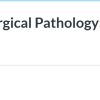 2025 A Practical Approach to Surgical Pathology Volume XI DocmedED course