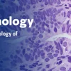 Gynecologic Pathology – The Pathology of Neoplastic Diseases 2025 (Videos with subtitles + Slides)