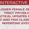 USCAP Lower Female Genital Tract Pathology Practical Updates from the WHO and FIGO Classification and Reporting Systems 2025