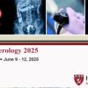 Harvard Gastroenterology 2025