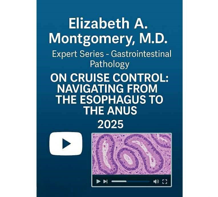 2025 Elizabeth A. Montgomery, M.D. Expert Series – Gastrointestinal Pathology on Cruise Control: Navigating from the Esophagus to the Anus