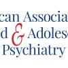 American Academy of Child and Adolescent Psychiatry 48th Annual Review Course 2023