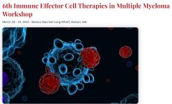 International Myeloma Society 6th Immune Effector Cell Therapies in Multiple Myeloma Workshop 2025
